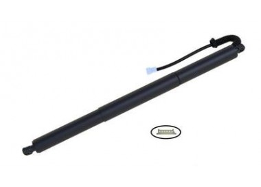 KSH MUELLE NEUMATICO ELECTRICO BMW X1