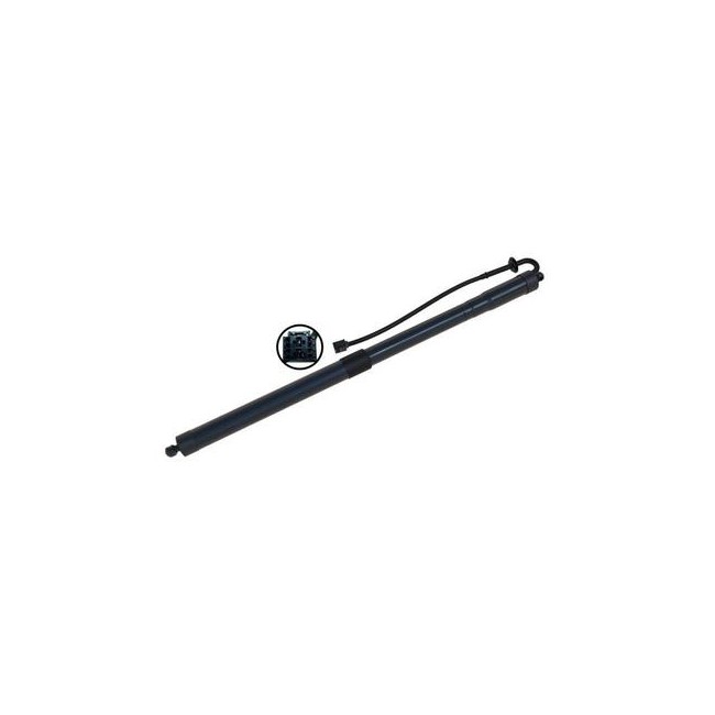 KSH MUELLE NEUMATICO ELECTRICO LAND ROVER RANGE R 