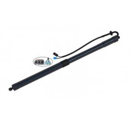 KSH MUELLE NEUMATICO ELECTRICO PORSCHE PANAMERA