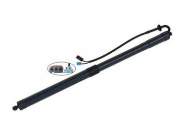 KSH MUELLE NEUMATICO ELECTRICO PORSCHE PANAMERA